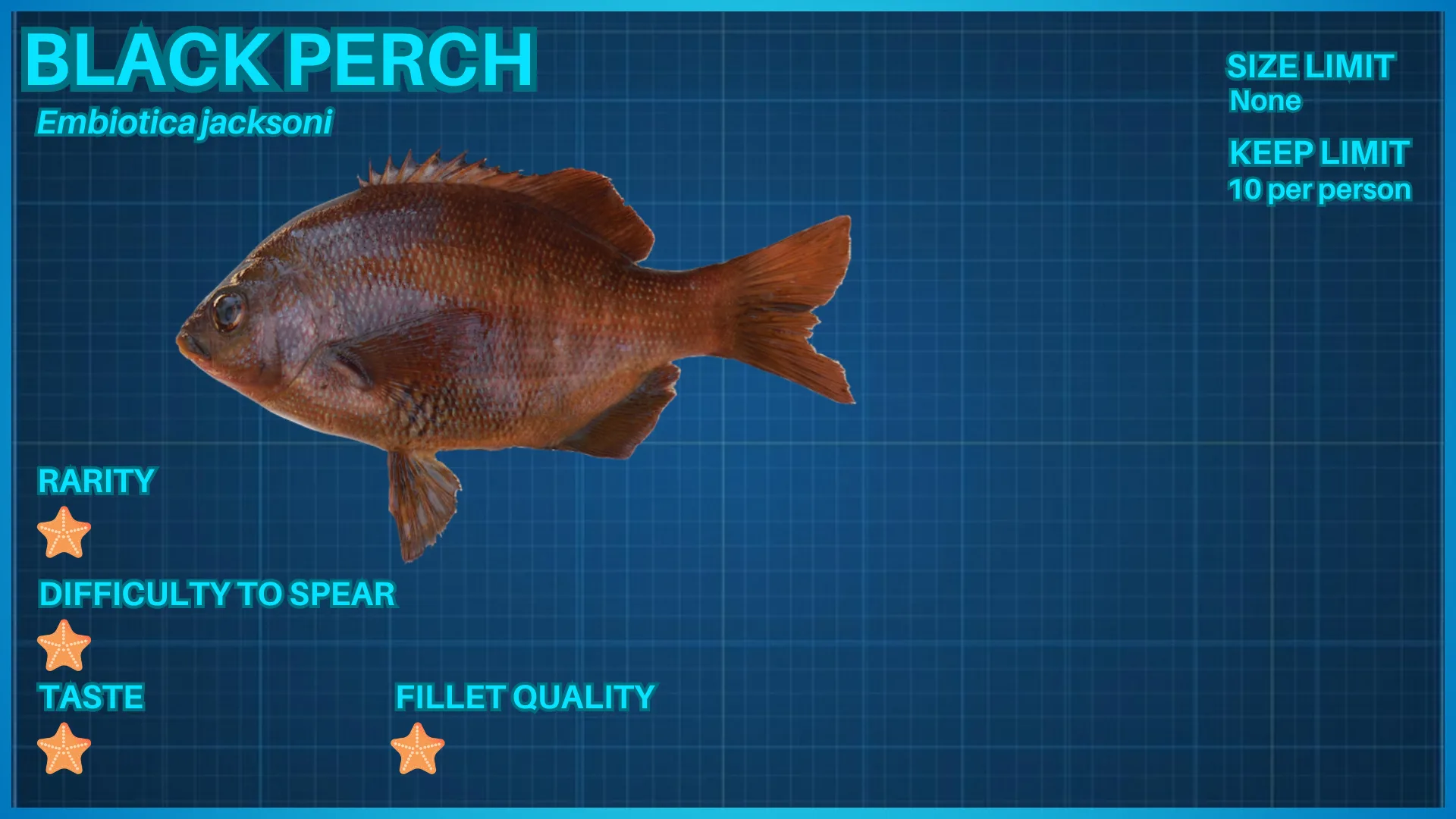 Black Perch fish ID card