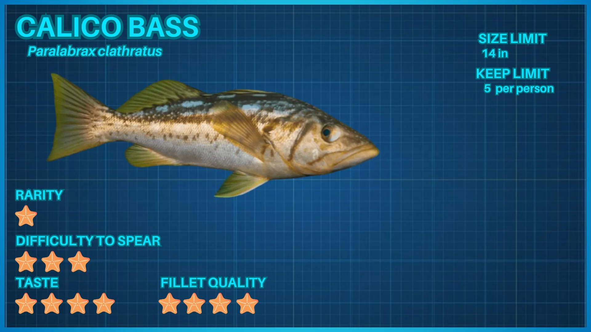 Calico Bass fish ID card