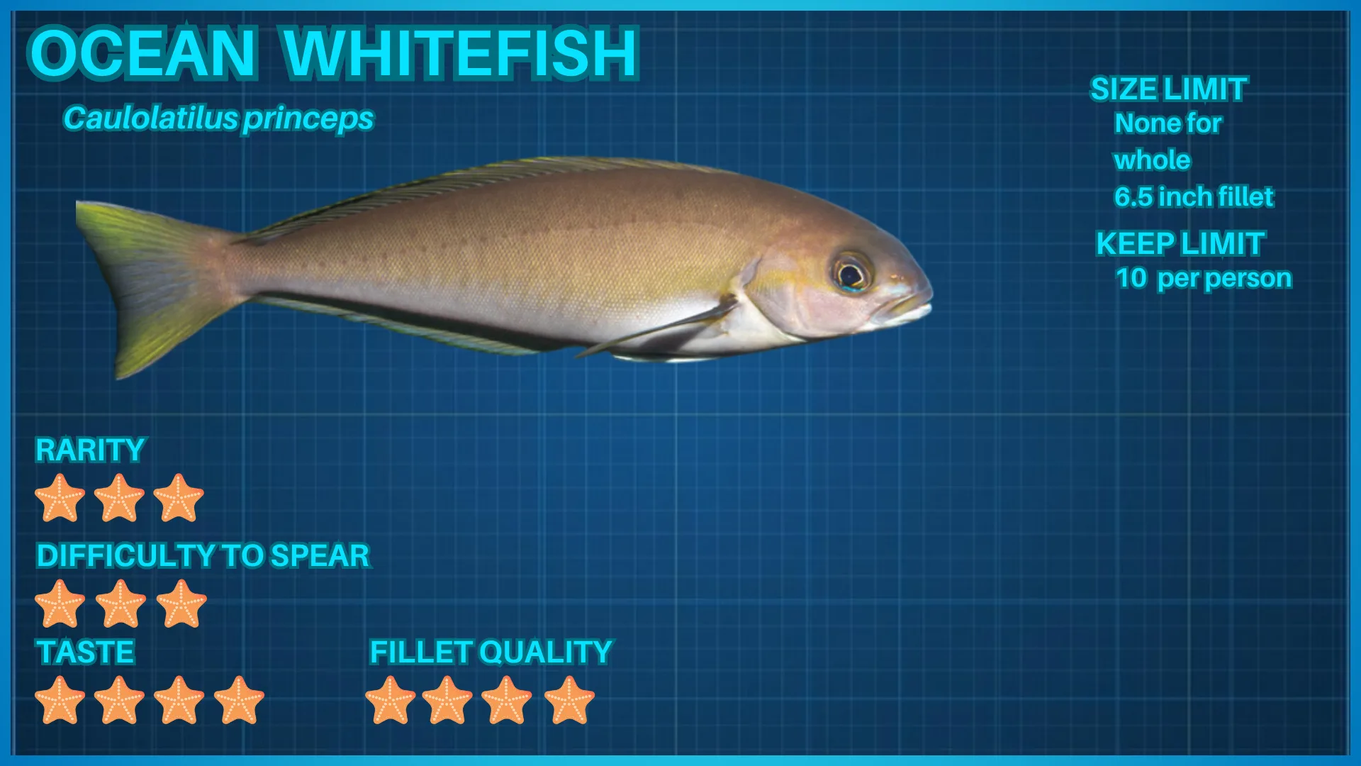 Ocean Whitefish fish ID card
