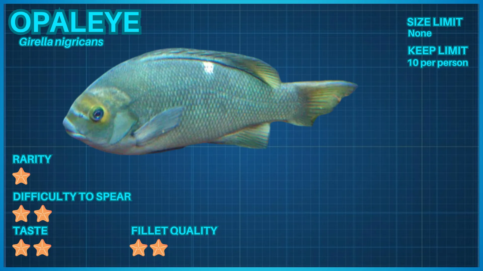 Opaleye fish ID card