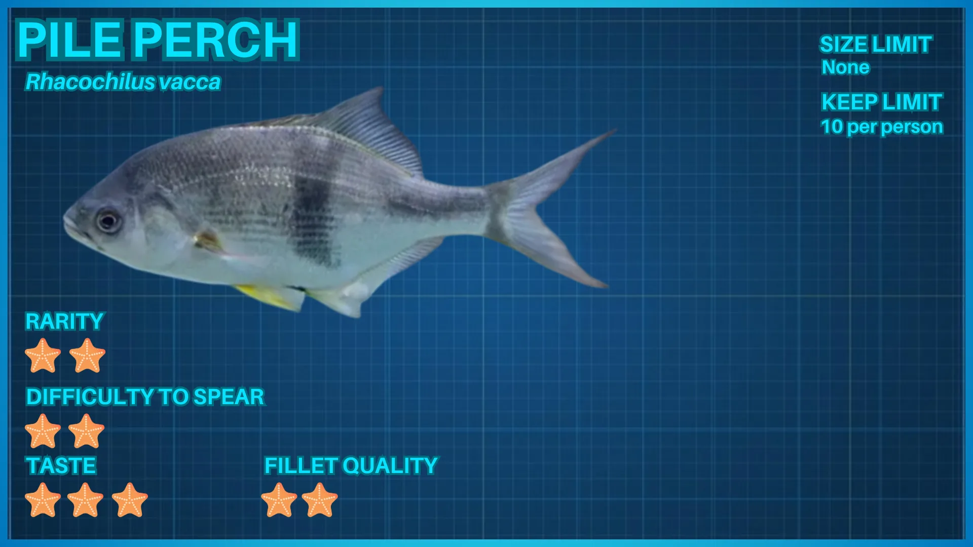 Pile Perch fish ID card