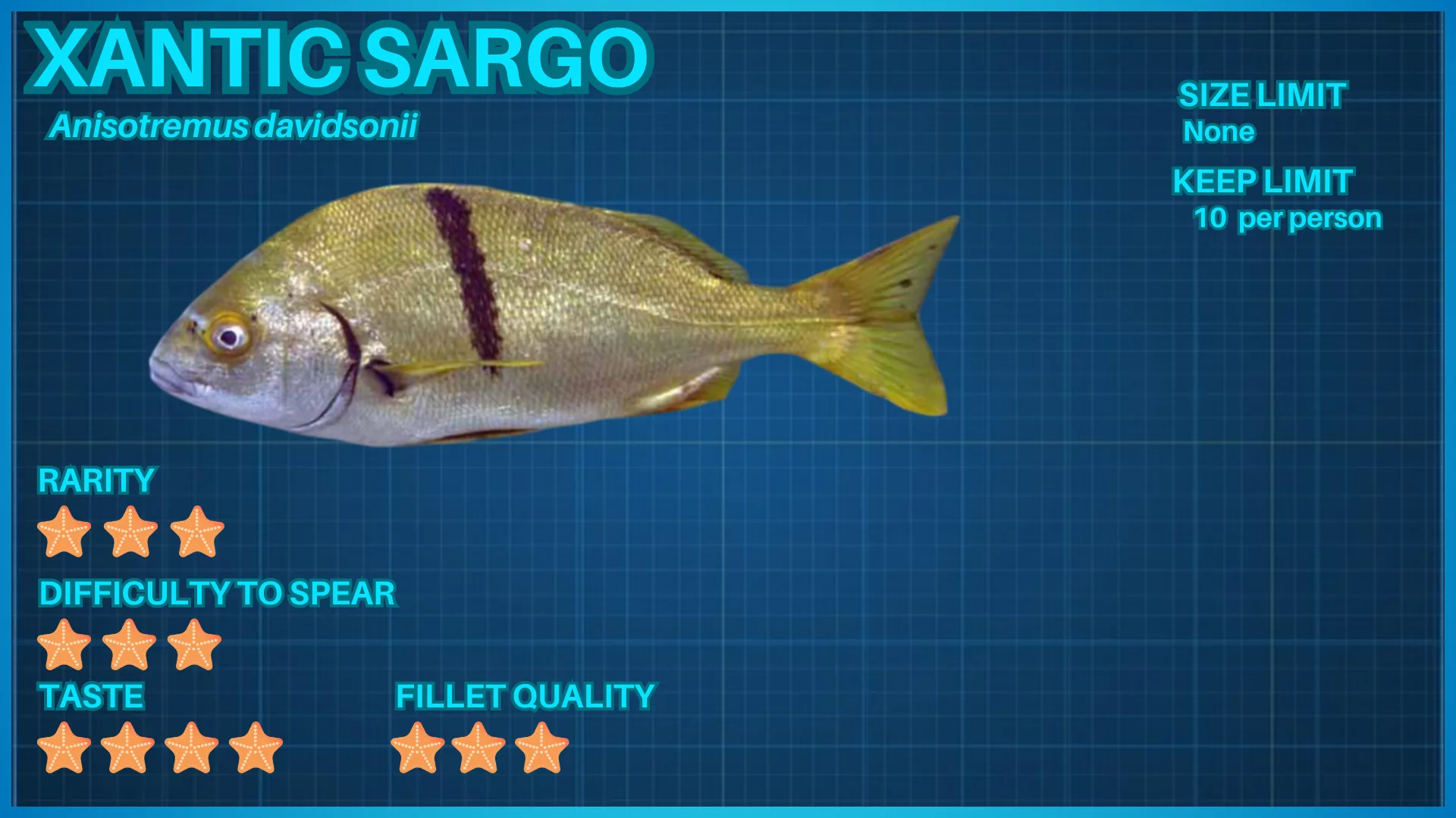 Sargo fish ID card