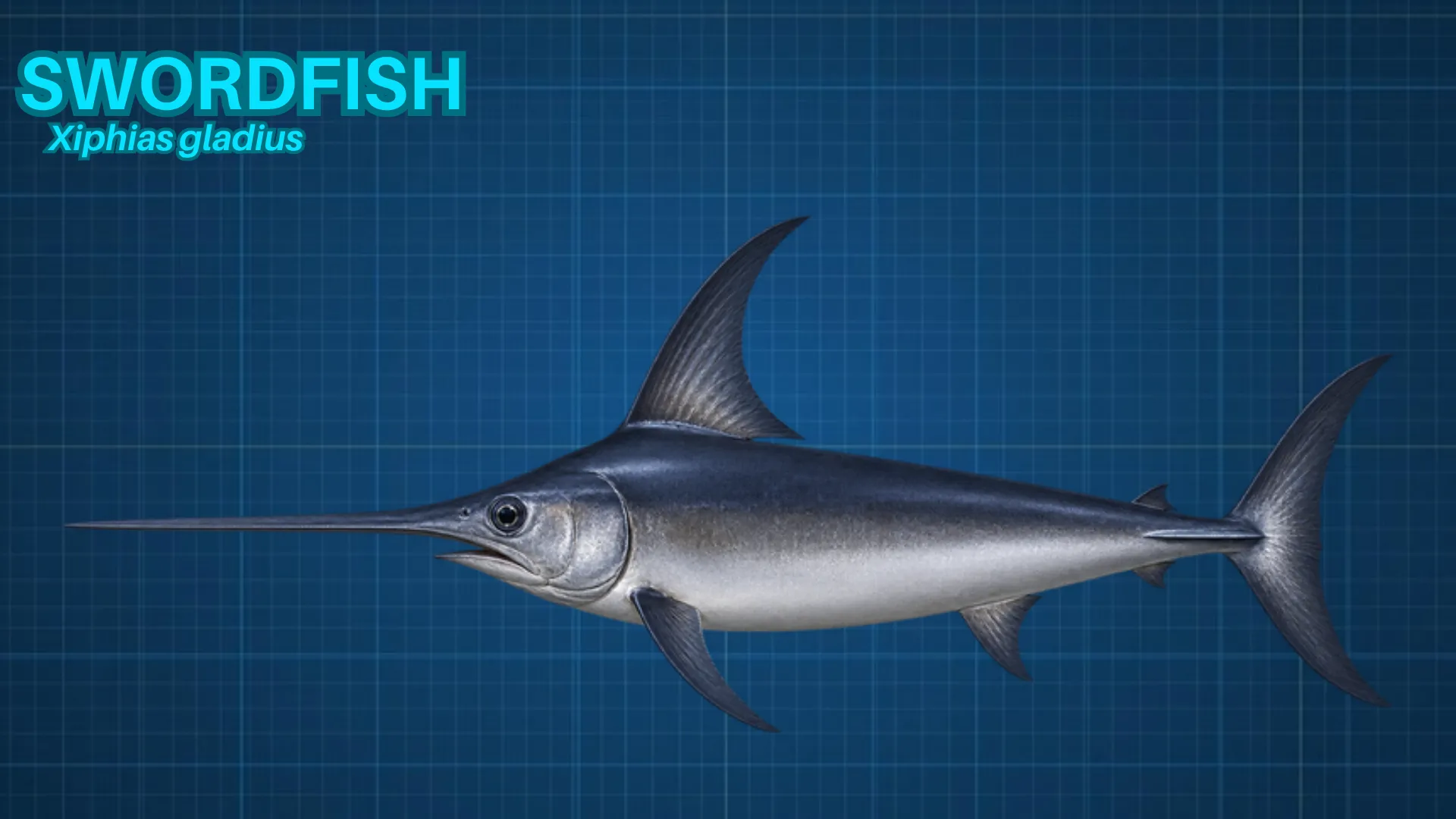 Swordfish ID card
