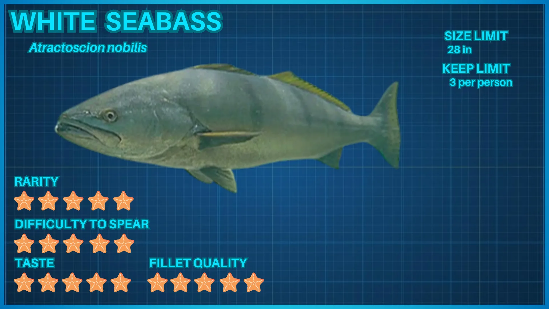 White Seabass fish ID card