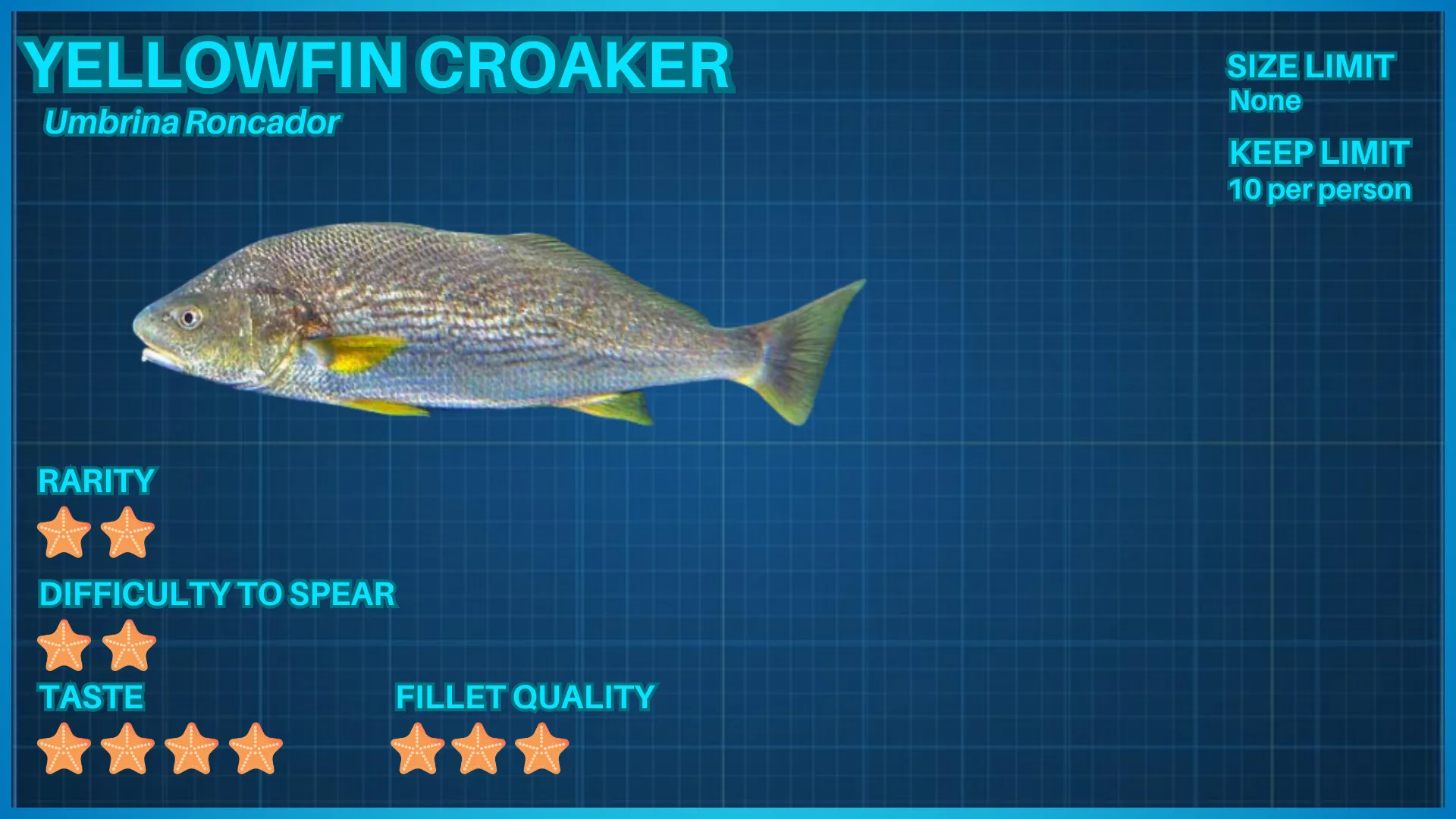 Yellowfin Croaker fish ID card