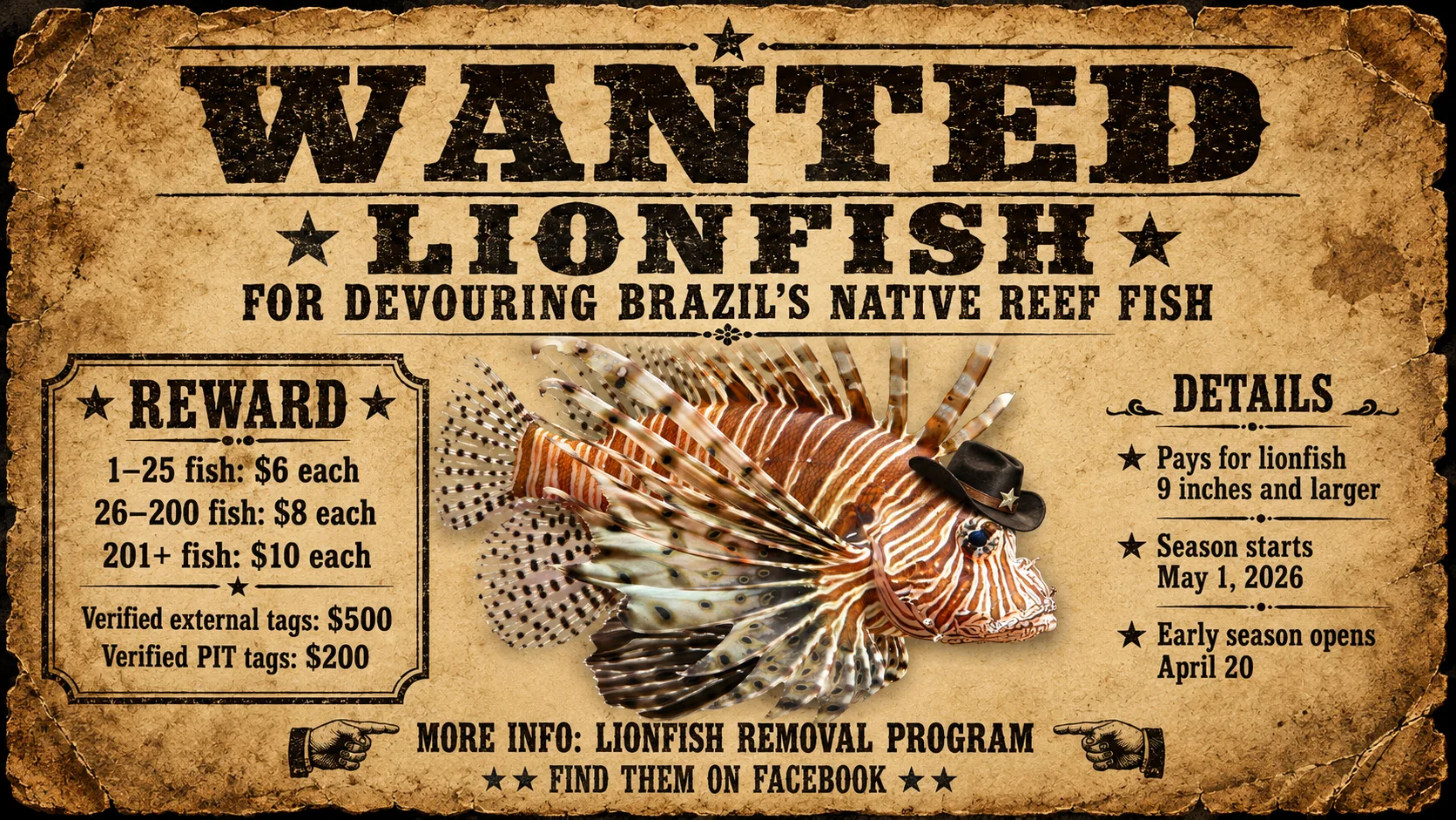Bounty Fishers Part 2: Get Paid to Kill Lionfish