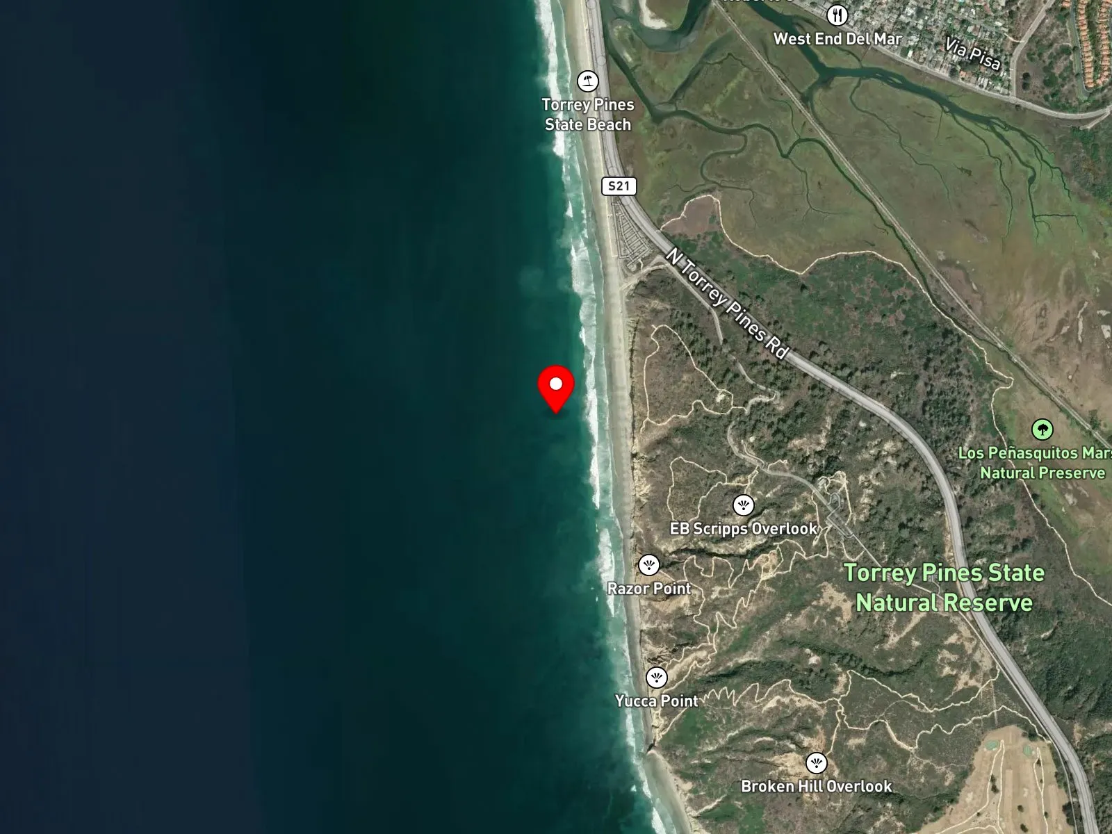 Map of Torrey Pines State Beach showing North Torrey Pines Road and the State Reserve trail